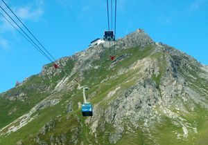 아로저 바이서른