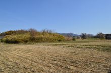 백제대사(百済大寺) 터로 비정되는 기비이케 폐사지(사쿠라이시)