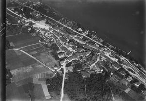 발터 미텔홀저의 항공 사진 (1919)