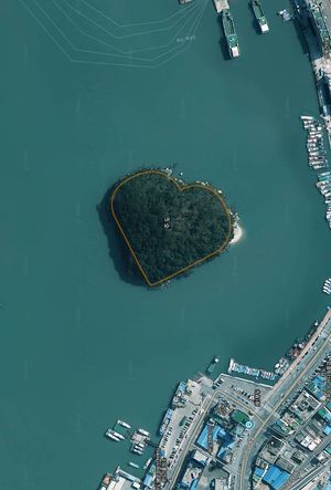 하트 모양의 주도