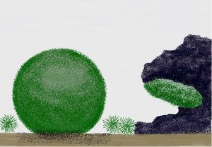 마리모(Aegagropila linnaei)의 세 가지 일반적인 성장 형태: 공 모양, 자유 부유 필라멘트, 바위 위에서 자라는 모습