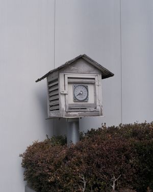 태양광을 피해 그늘에, 주로 잔디 위에 설치 된다.