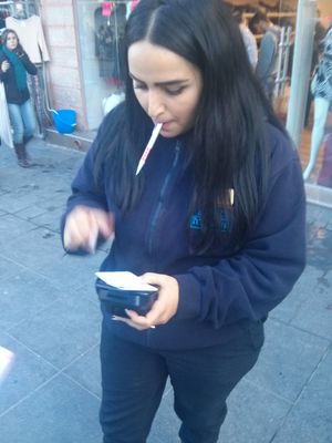 CityPass 검사관이 벌금을 부과하고 있다