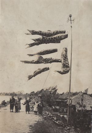 물고기 연, 단오, 1911