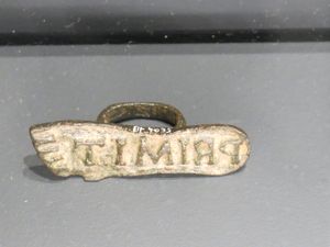 시그나쿨룸(Signaculum)