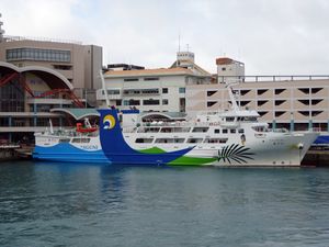 뉴 페리 아구니 (토마리 부두)