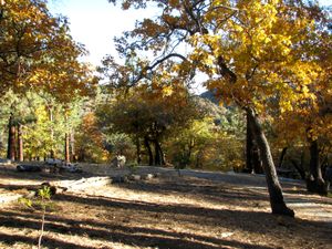 2008년 가을 남부 캘리포니아