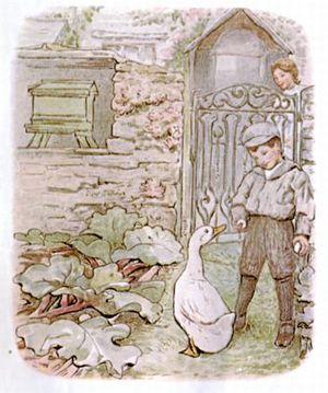 비아트릭스 포터의 제미마 퍼들덕 이야기의 제미마 퍼들덕 삽화.