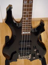 ESP 톰 아라야 모델의 복제품 'LTD TA-200'