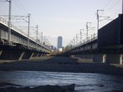 도카이도 본선(좌)과 신칸센(우)의 교량 사이에서 아오이 타워를 바라봄