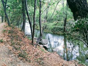 로스 가토스 크릭 트레일 하이킹