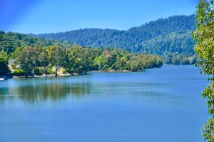 렉싱턴 저수지는 로스 가토스 인근의 로스 가토스 크릭에 있는 인공 호수이다.