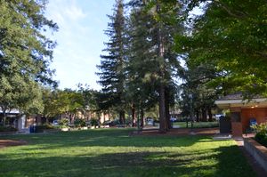 타운 플라자 공원