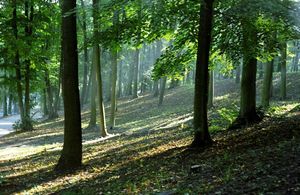 트체프 시립 공원