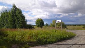 로슬라블스키의 오래된 지역, 보레시노 마을