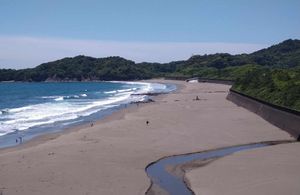 서핑의 이쿠미 해안