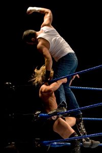 프로레슬링에서의 펀치