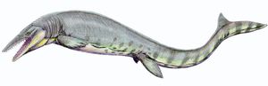 T. pembinensis 복원도