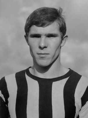 1964년의 판 하네험