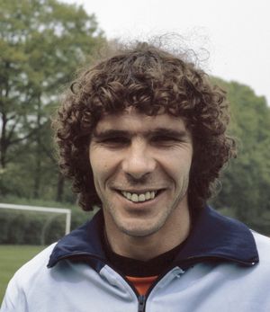 1978년 판 하네험