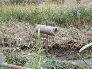 인공 오리 둥지