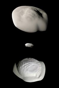 토성의 양치기 위성인 아틀라스(위), 다프니스(중), 판(아래)의 실제 축척에 맞춘 이미지. 적도 부근에는 주변에 존재했던 고리의 구성 물질이 강착되어 형성된 것으로 보이는 뚜렷하게 이어진 능선과 같은 지형이 보인다.