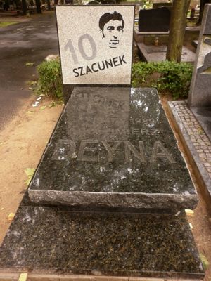 포봉키 군사 묘지에 있는 카지미에시 데이나의 묘