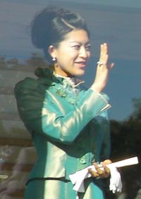 2009년(헤이세이 21년) 1월 2일, 신년 일반 참가