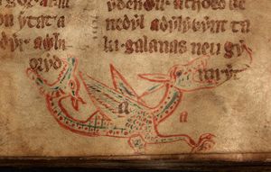 14세기 웨일스 국립 도서관의 필사본에 묘사된 와이번. 꼬리 끝에 두 번째 머리가 달려 있다.