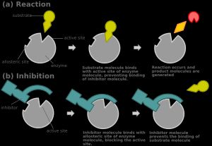 억제제와 기질이 동시에 효소에 결합할 수 없는 한, 경쟁적 저해는 알로스테릭일 수도 있다.