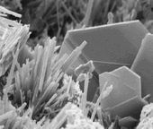 주사 전자 현미경(SEM) 이미지로, 경화된 시멘트 페이스트의 파단면을 보여주며, 수산화 칼슘 판과 에트린자이트의 바늘 결정(마이크론 규모)을 보여준다.