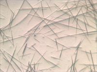 산화 주석(IV)의 가는 결정의 광학 현미경 사진