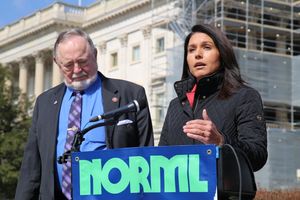 영과 툴시 개버드 하원 의원은 2019년 연방 마리화나 금지 종료법을 지지하며 연설하고 있다.