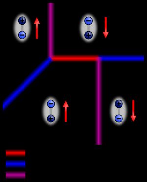 전기 분극(전하로 표시된 전기 쌍극자)과 자화(빨간색 화살표) 모두 두 개의 반대 방향을 갖는 강유전성 강자성체의 가능한 네 가지 도메인 상태의 개략적인 그림. 도메인은 벽을 가로질러 변하는 순서 매개변수로 분류되는 다양한 유형의 도메인 벽으로 구분됩니다.