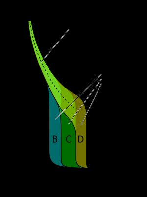 정격 전류의 배수에 따른 트립 시간 대 전류