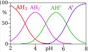 시트르산의 10밀리몰 용액에 대해 계산된 % 종 형성