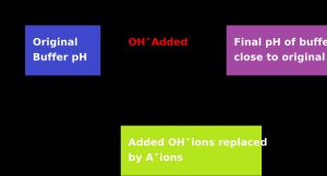약산과 그 짝염기의 혼합물에 수산화물이온을 첨가했을 때의 해설