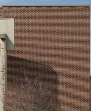 적절하게 표본 추출된 이미지