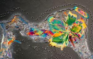 편광 하에서 관찰한 젖당 결정