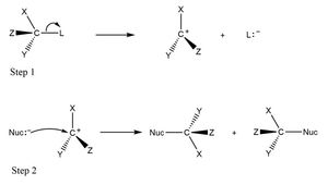 SN1 반응 메커니즘