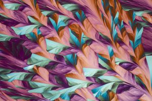 편광 현미경으로 촬영한 염화 세슘의 얇은 결정질 막.