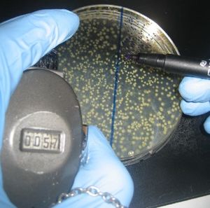 클릭 카운터와 펜을 사용하여 집락 형성 단위(CFU)를 수동으로 계산하는 전통적인 방식. 집락이 너무 많을 경우, 배양 접시의 일부만 CFU를 계산하는 것이 일반적이다.