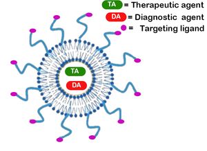 표적 치료진단용 리포솜 전달
