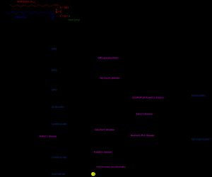 다양한 형태의 스핑고지질 대사 경로. 스핑고지질증은 해당 단계에서 결핍된 것으로 표시되어 있다.