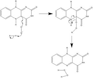 메커니즘 6. 탄소 라디칼은 O2 와 산과 반응하여 H2O2를 생성한다.