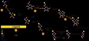 해당 과정 경로 개요