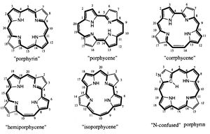 다양한 보고된 포르피린 이성질체