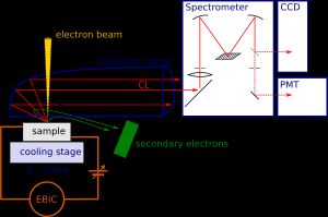 음극선 발광 시스템의 개략도: 전자빔은 빛을 모아 분광기로 반사하는 포물선 거울의 작은 조리개를 통과한다. 전하 결합 소자(CCD) 또는 광전자 증배관(PMT)을 사용하여 각각 병렬 또는 단색 감지가 가능하다. 전자빔 유도 전류(EBIC) 신호를 동시에 기록할 수 있다.