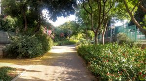 크파르사바의 케도셰이 카히르 공원