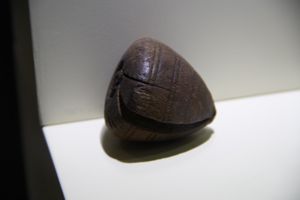 1~3세기 경의 테브티니스(이집트) 출토 고대 로마 목제 팽이